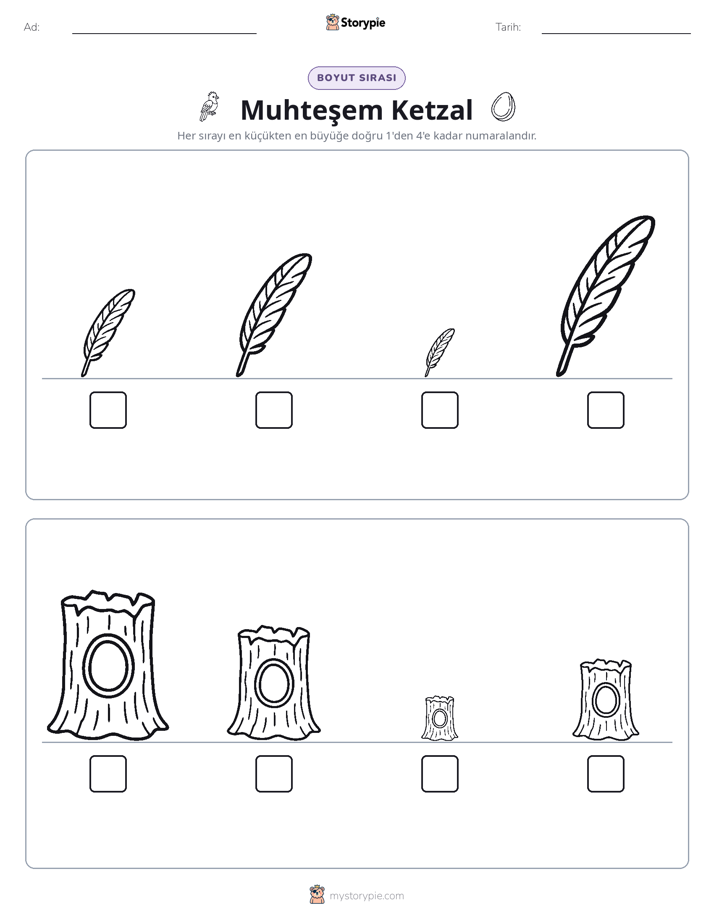 Boy Sıralaması