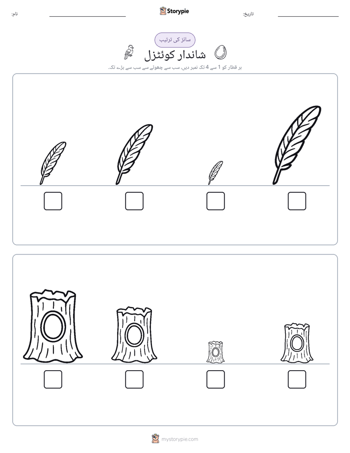 سائز کی ترتیب