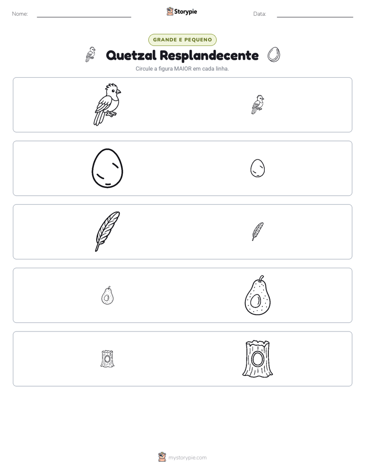 Classificação