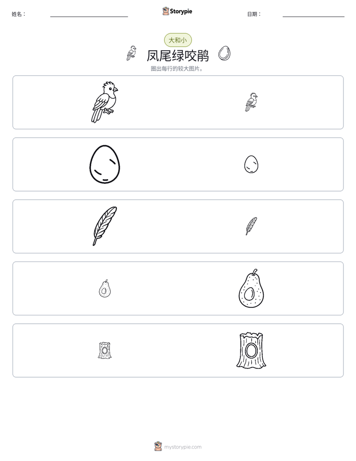 分类