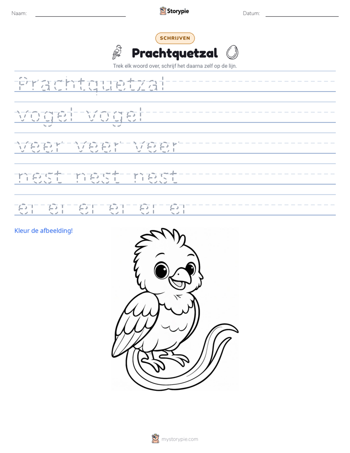 Schrijf Oefening