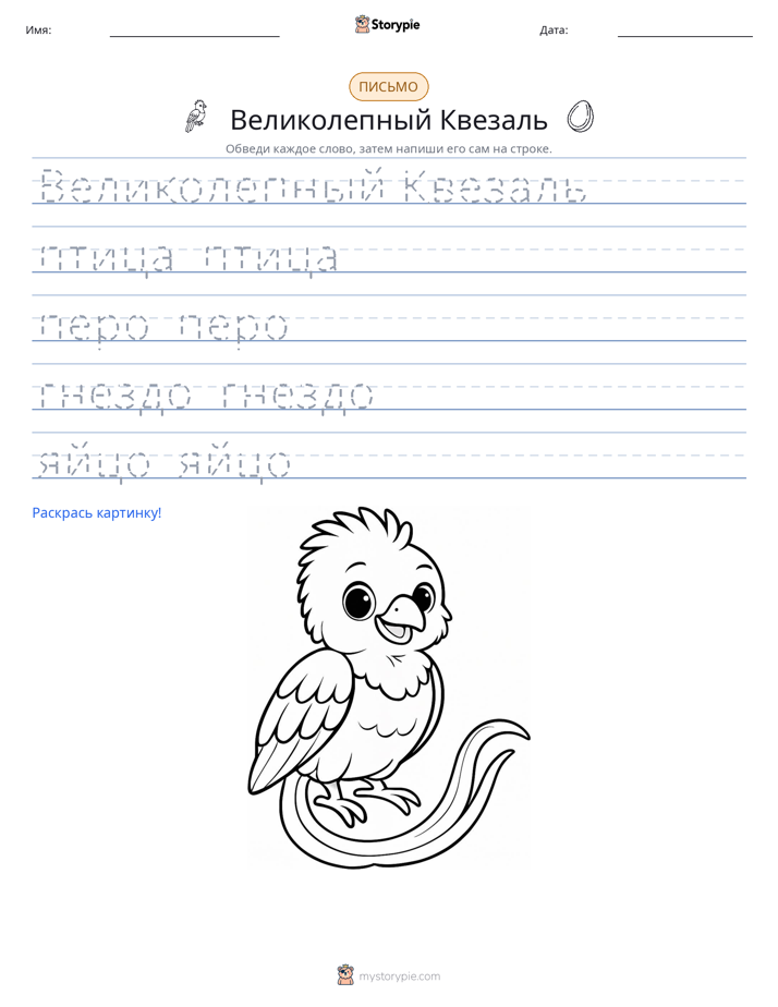Практика письма