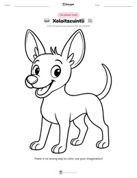Xoloitzcuintli printable worksheet preview