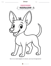 Anteprima della scheda stampabile di Xoloitzcuintli
