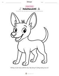 Xem trước tài liệu in sẵn Xoloitzcuintli