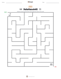 Xoloitzcuintli printable worksheet preview
