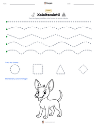 Aperçu de la feuille de travail imprimable Xoloitzcuintli