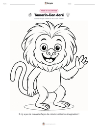 Aperçu de la feuille de travail imprimable Tamarin-lion doré