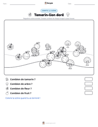 Aperçu de la feuille de travail imprimable Tamarin-lion doré