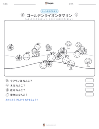 ゴールデンライオンタマリン の印刷可能ワークシートプレビュー