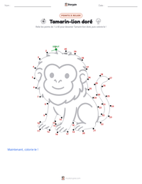 Aperçu de la feuille de travail imprimable Tamarin-lion doré