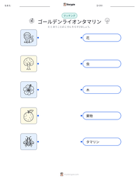ゴールデンライオンタマリン の印刷可能ワークシートプレビュー