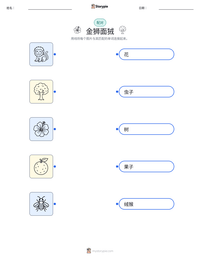 金狮面狨 可打印工作表预览
