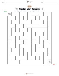 Golden Lion Tamarin printable worksheet preview