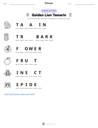 Golden Lion Tamarin printable worksheet preview