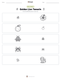 Golden Lion Tamarin printable worksheet preview
