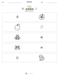 金狮面狨 可打印工作表预览