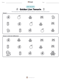 Golden Lion Tamarin printable worksheet preview