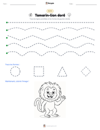 Aperçu de la feuille de travail imprimable Tamarin-lion doré