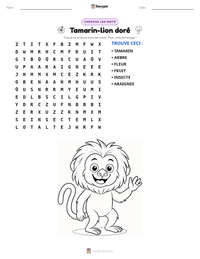 Aperçu de la feuille de travail imprimable Tamarin-lion doré