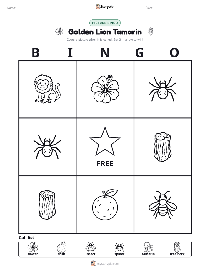 Picture Bingo