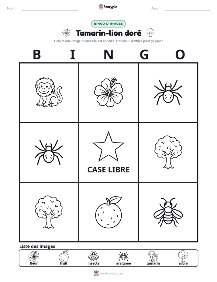 Bingo d'Images