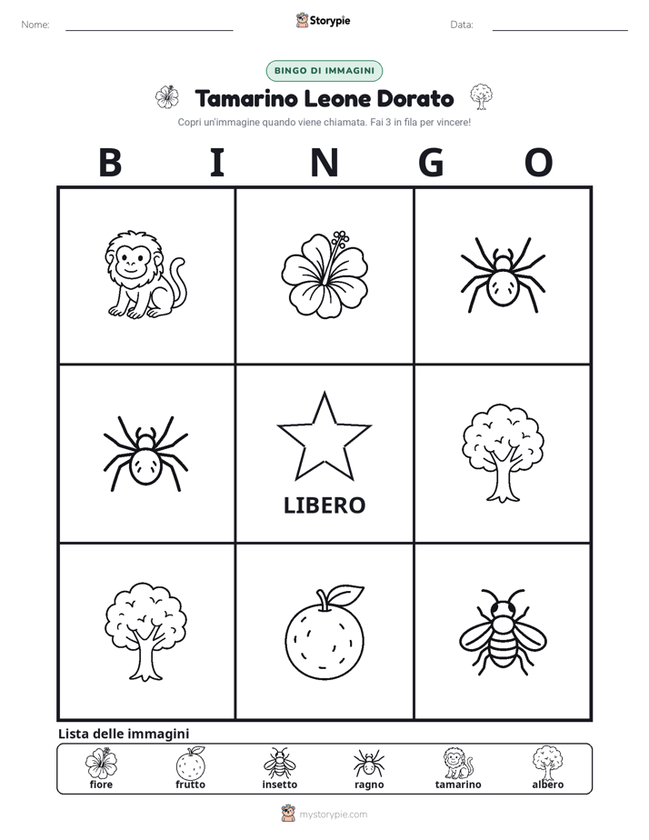 Bingo delle Immagini