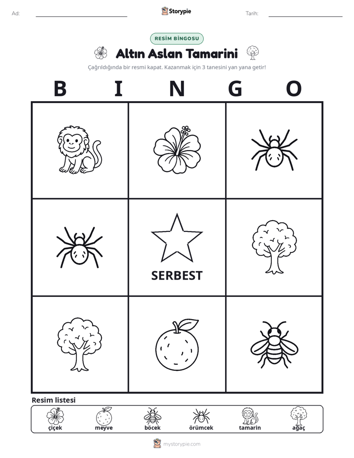 Resim Bingo