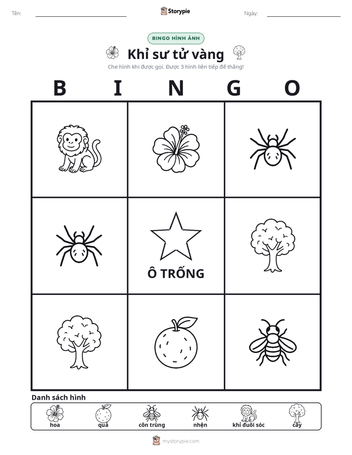 Bingo Hình Ảnh