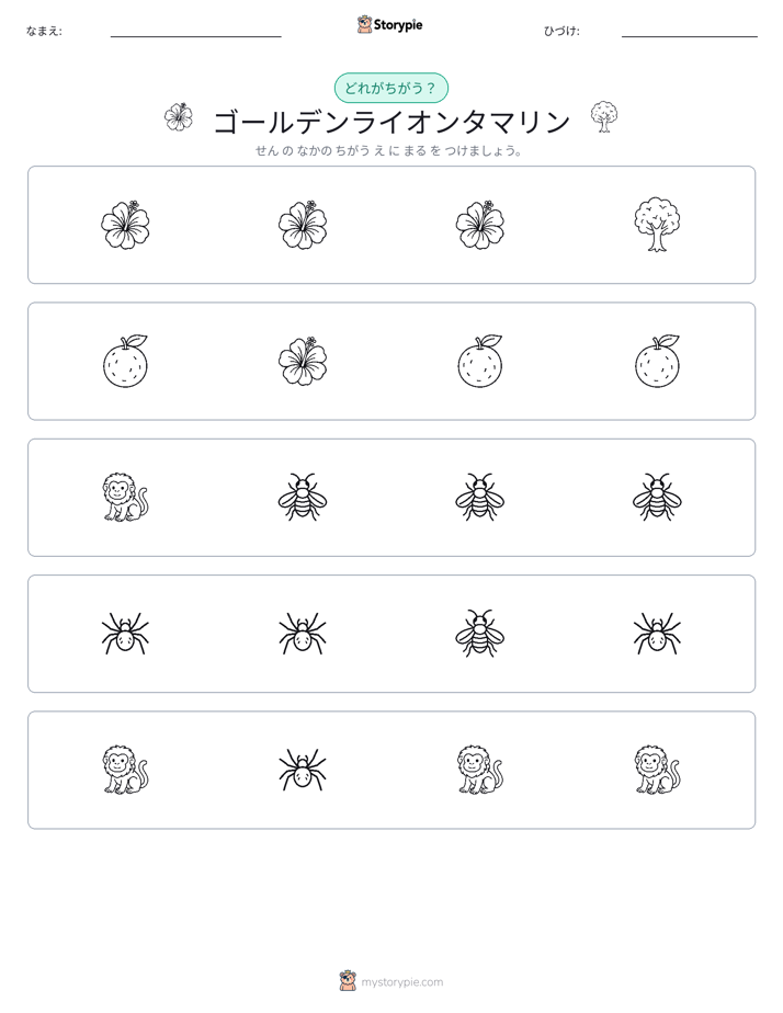 異なるものを見つけよう