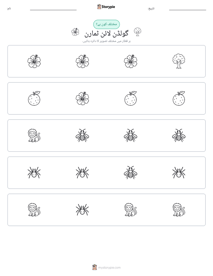 عجیب ایک