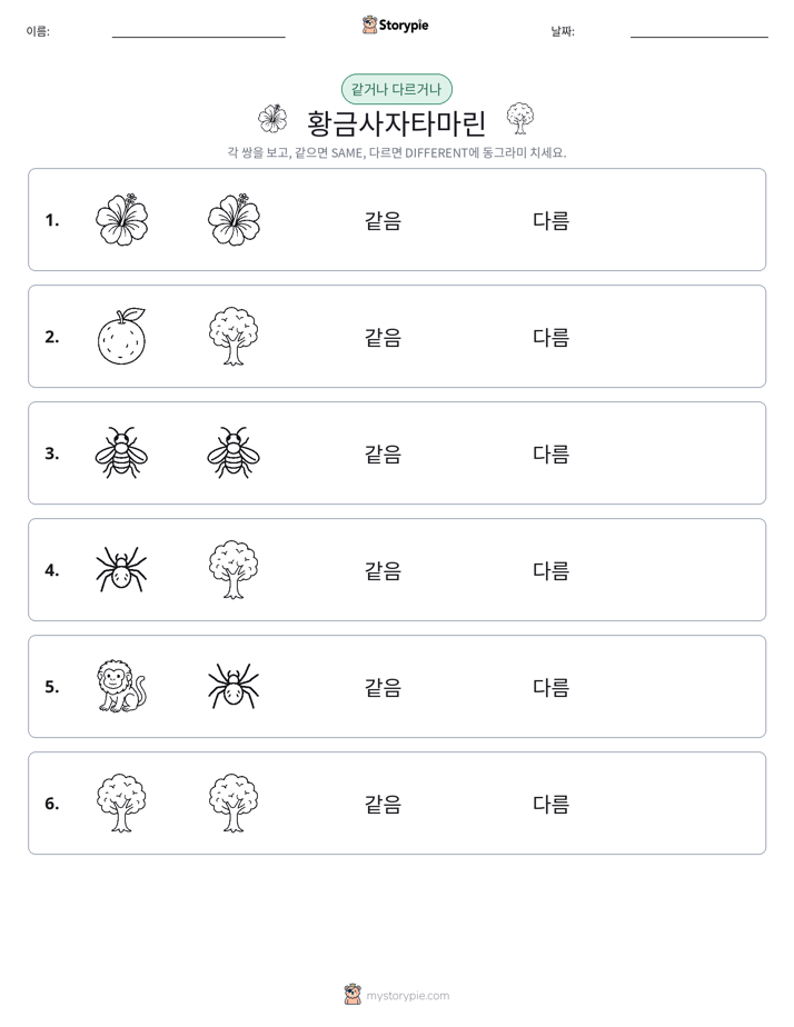 같은 것 또는 다른 것