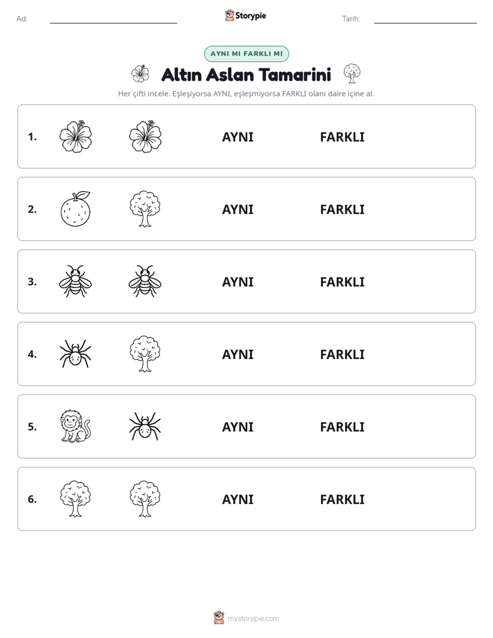 Aynı mı Farklı mı