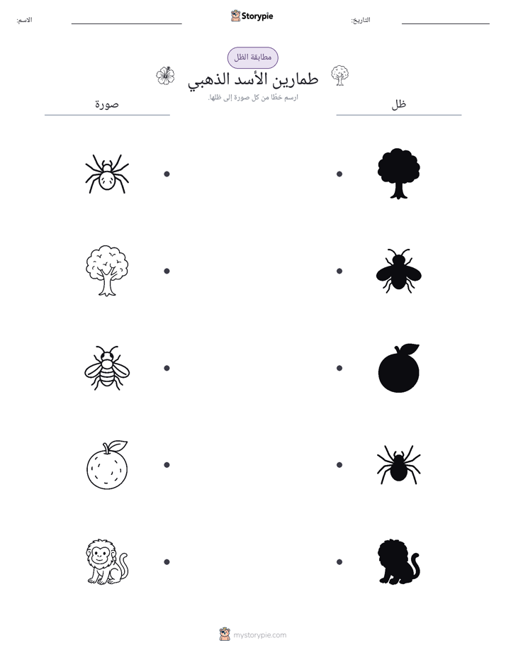 مطابقة الظل