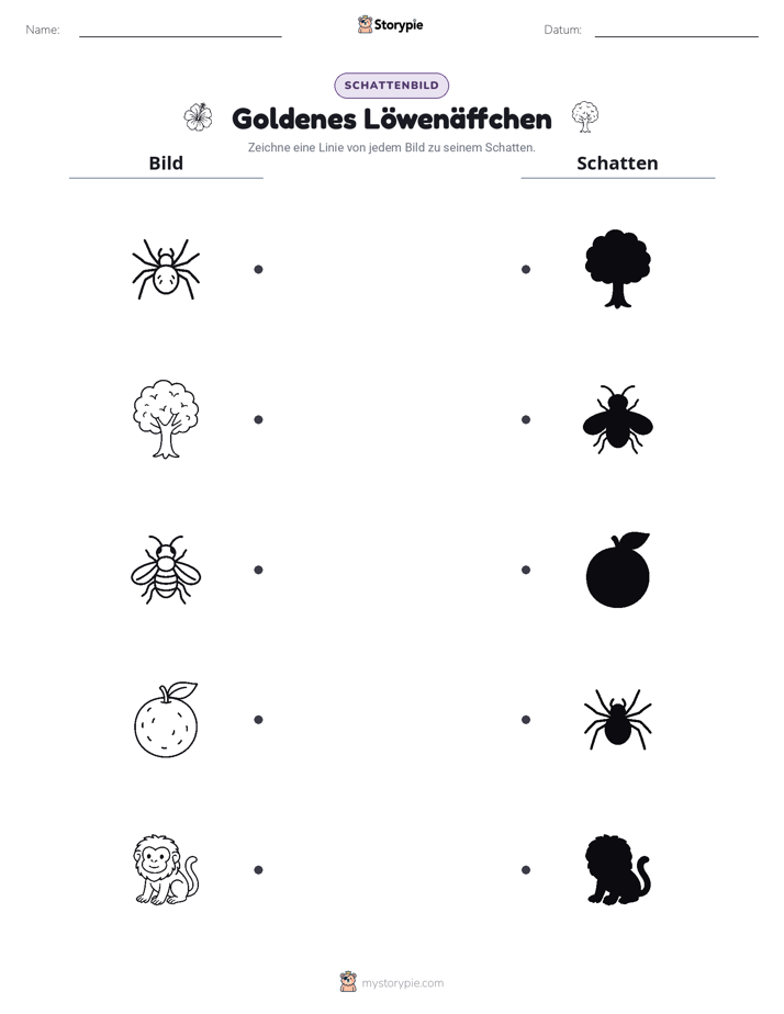 Schattenmatch