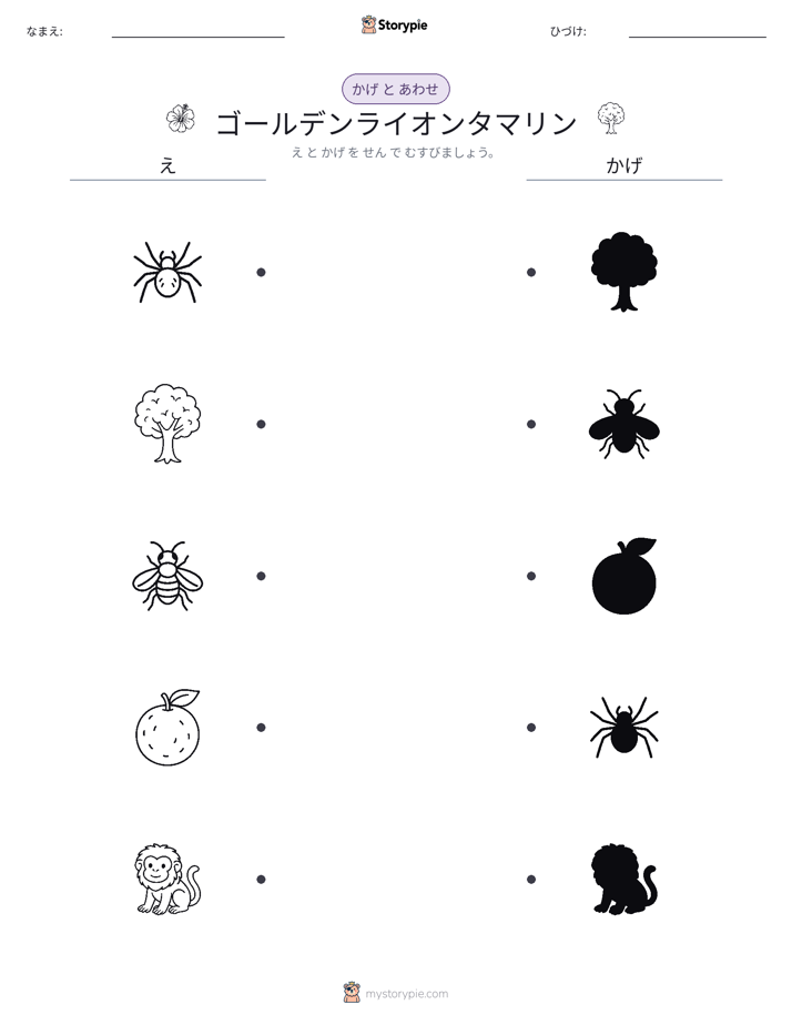 シャドウマッチ