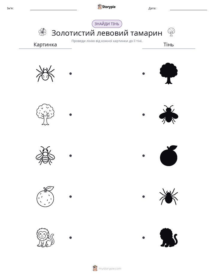 Тіньове Відповідність