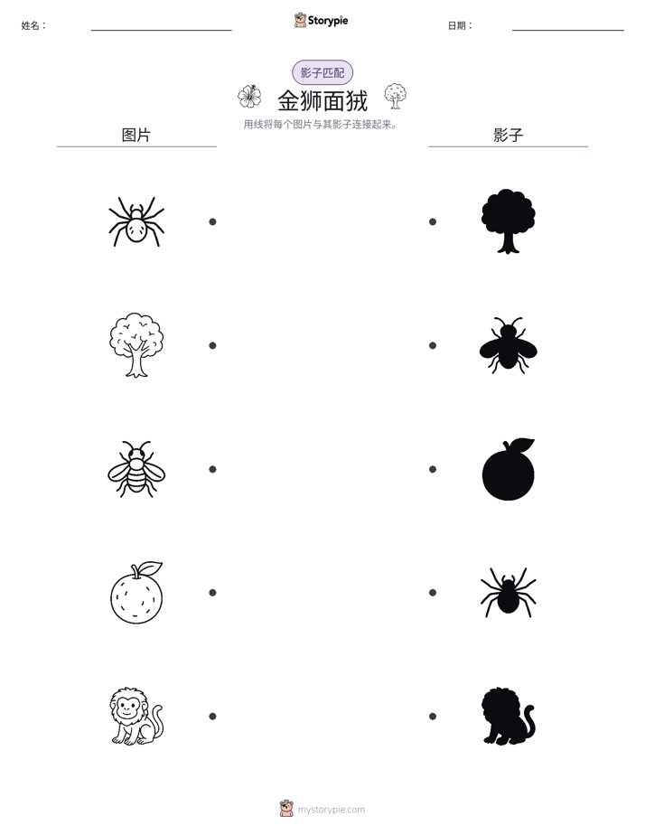 影子匹配