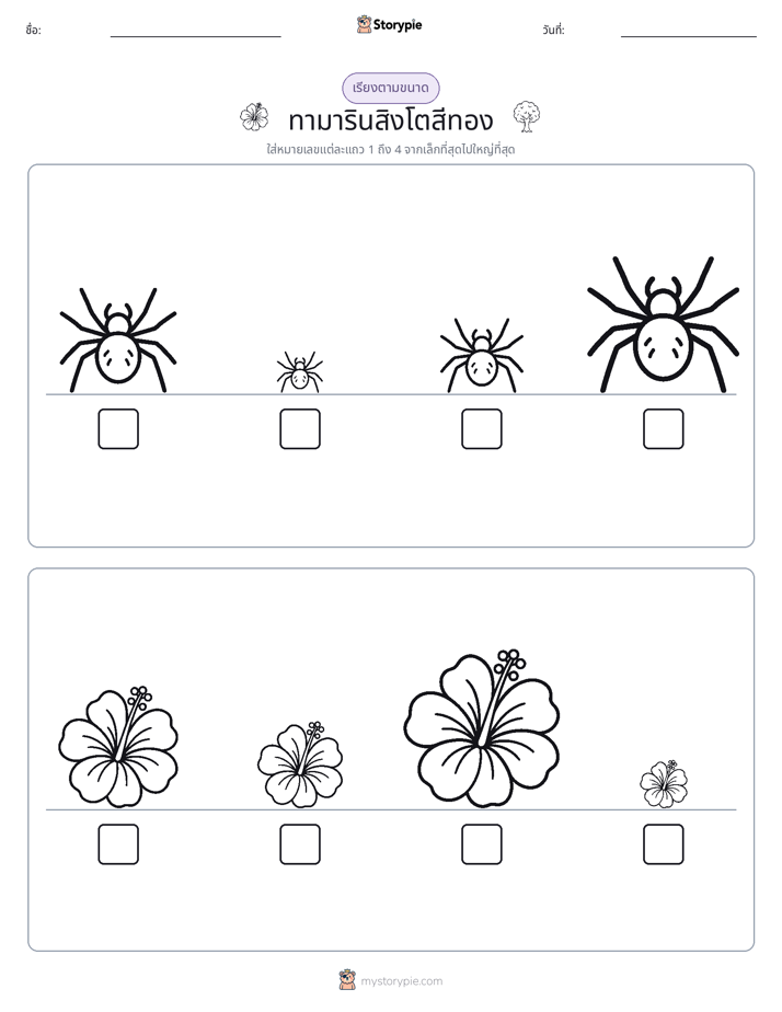 ลำดับขนาด