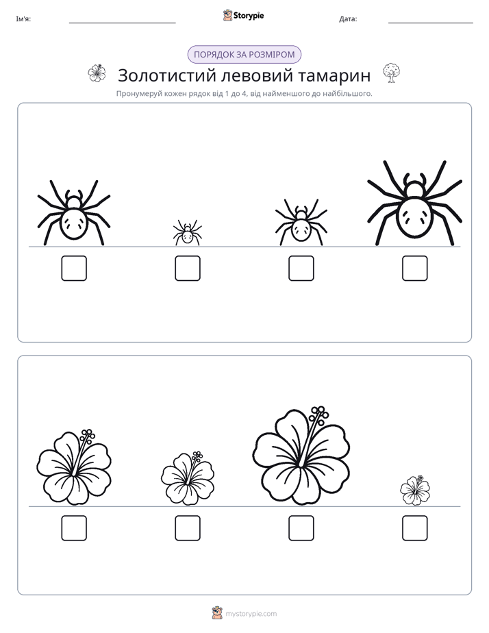 Порядок Розміру