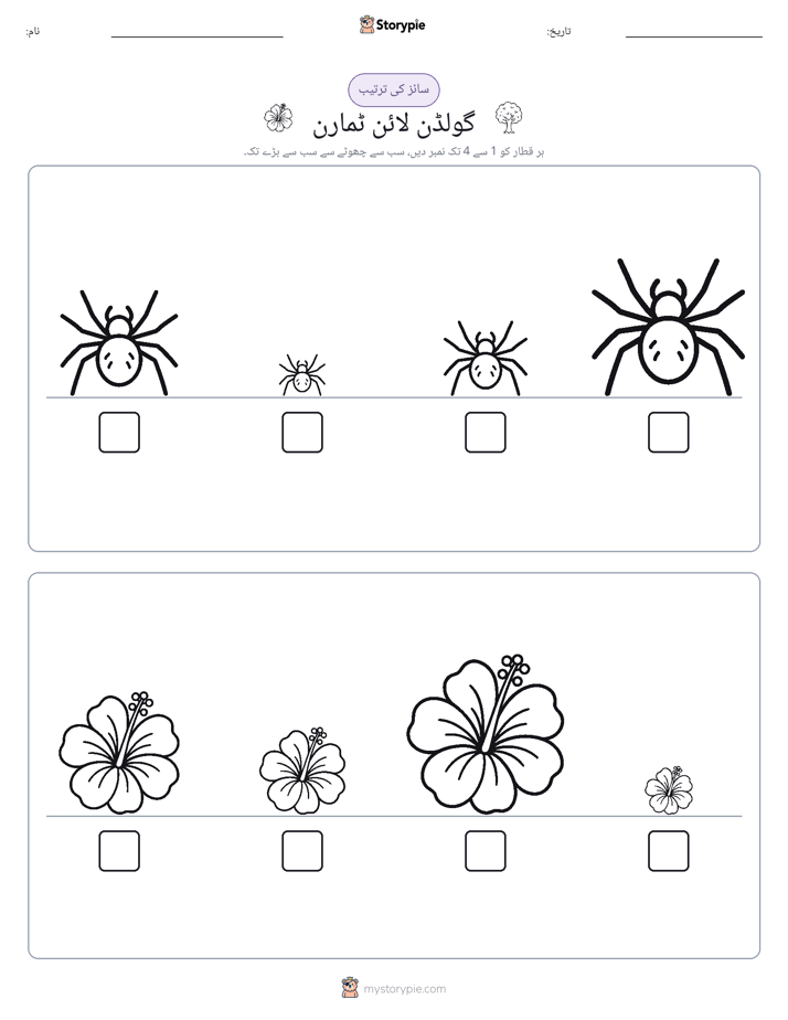 سائز کی ترتیب