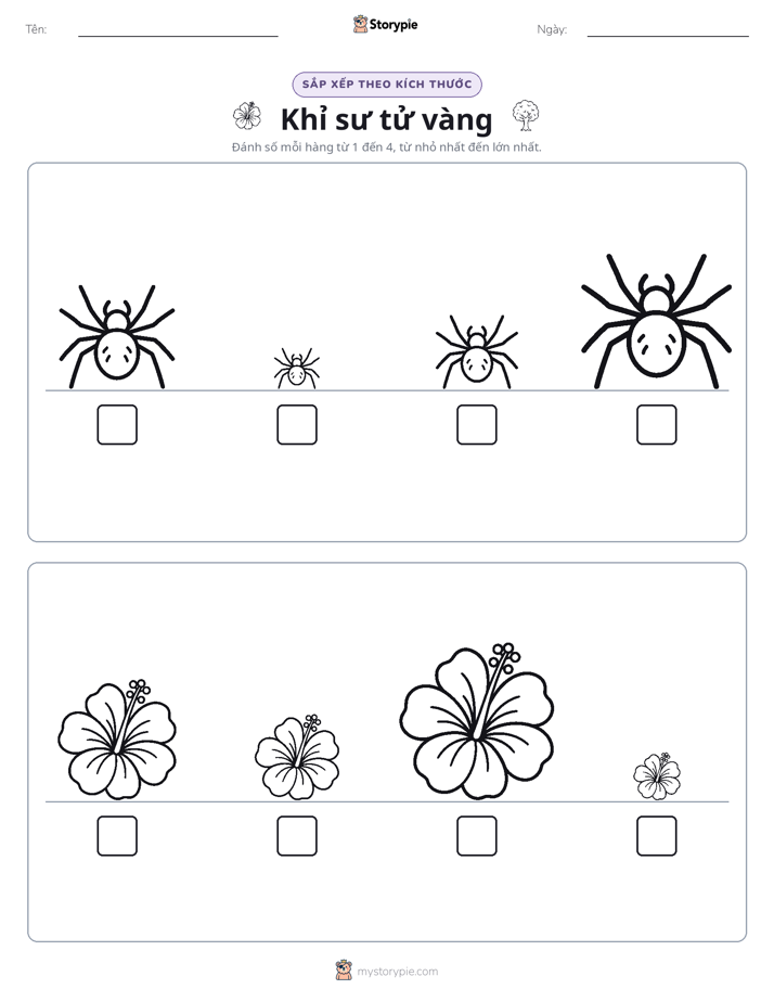 Thứ Tự Kích Thước