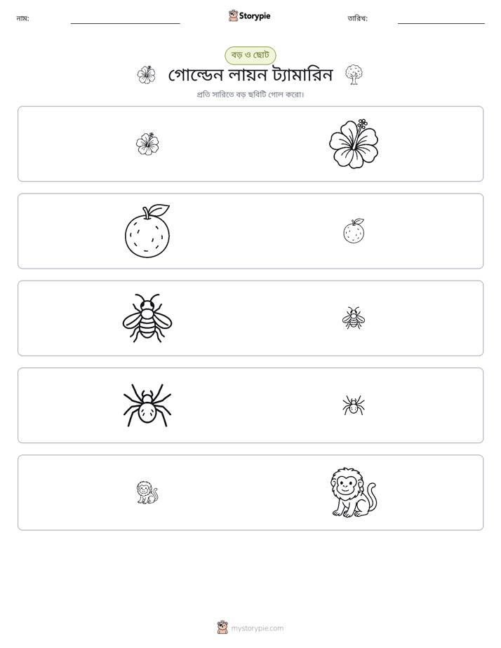 সাজানো