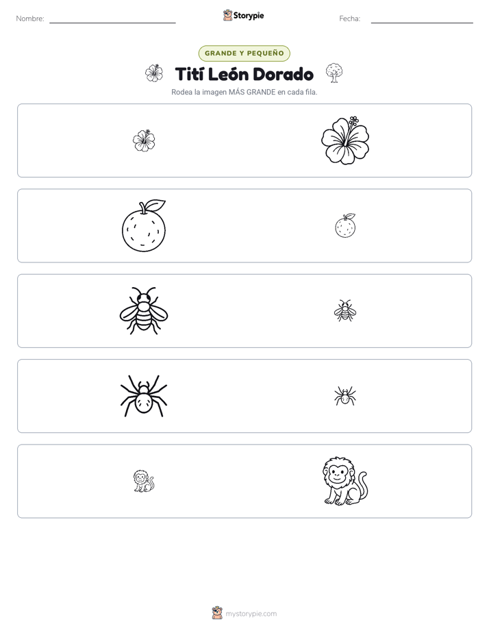 Clasificación