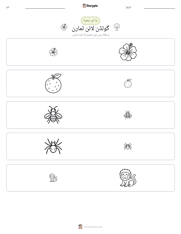 ترتیب دینا