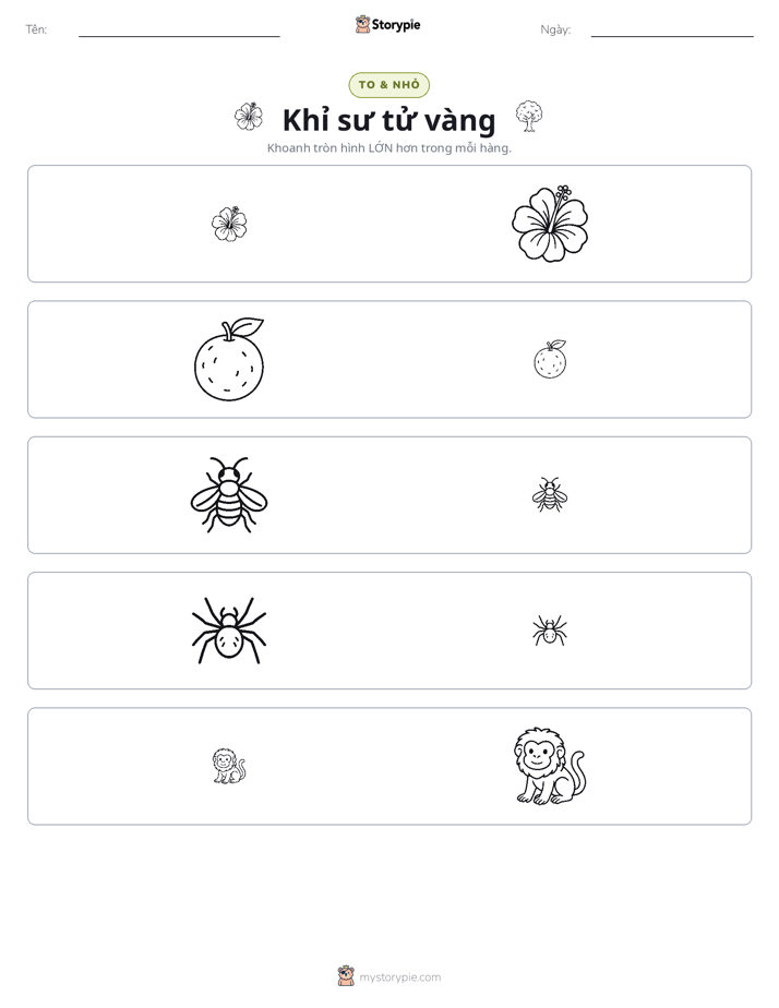 Phân Loại