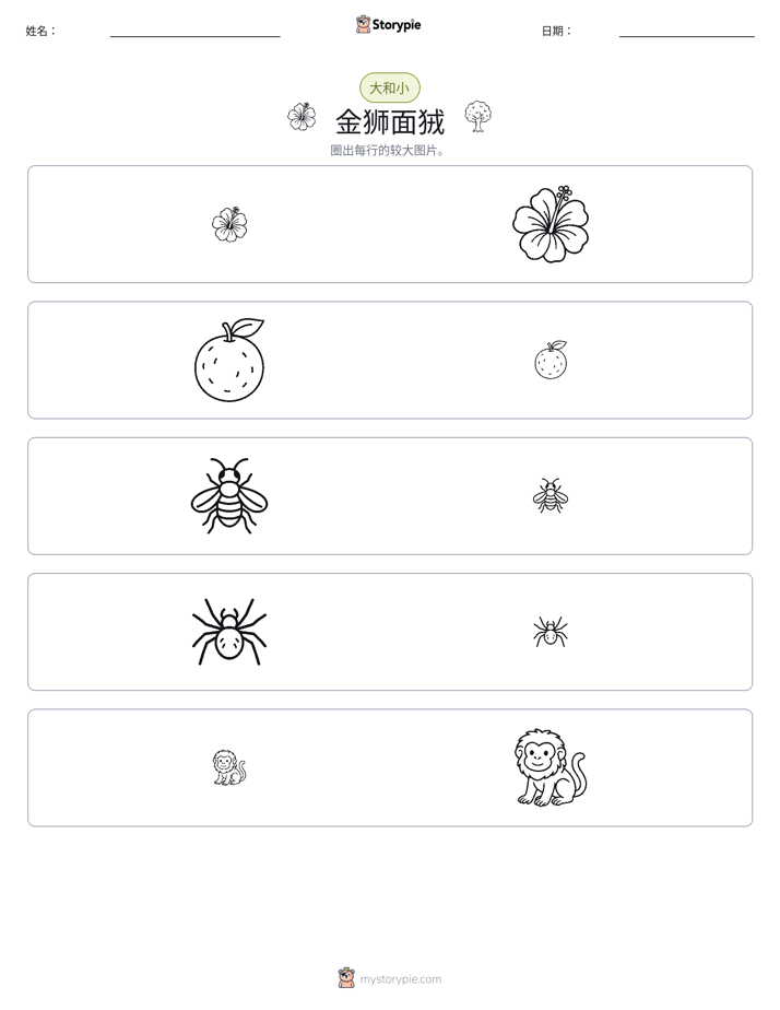 分类
