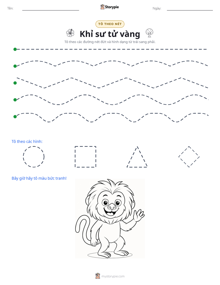 Vẽ Theo Đường