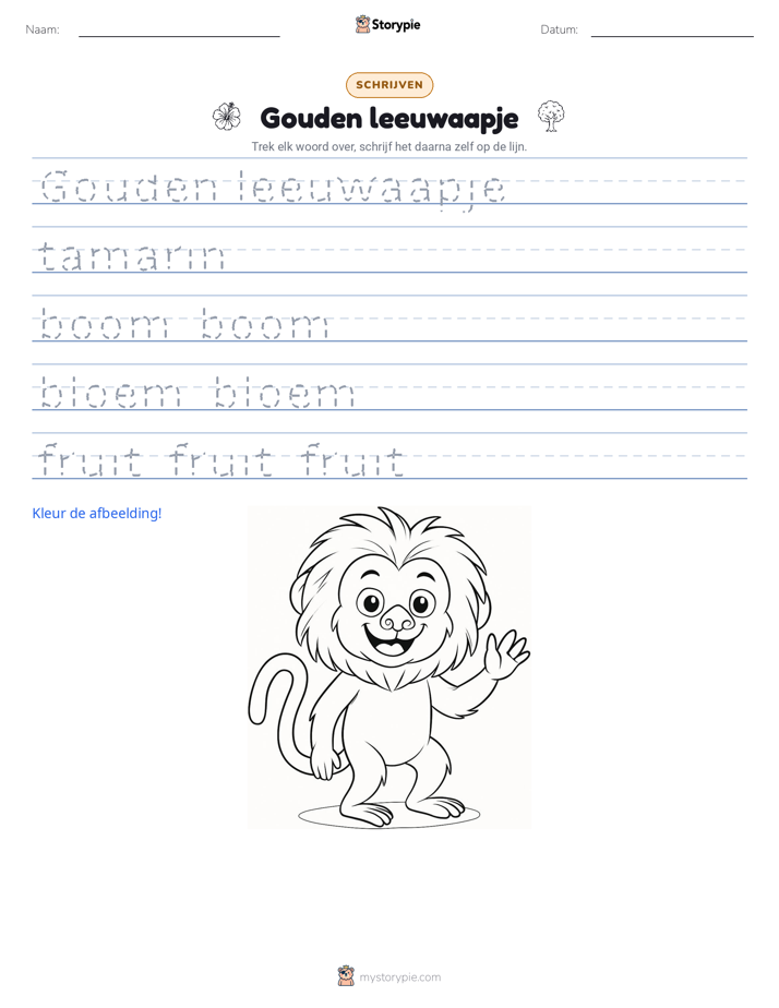 Schrijf Oefening