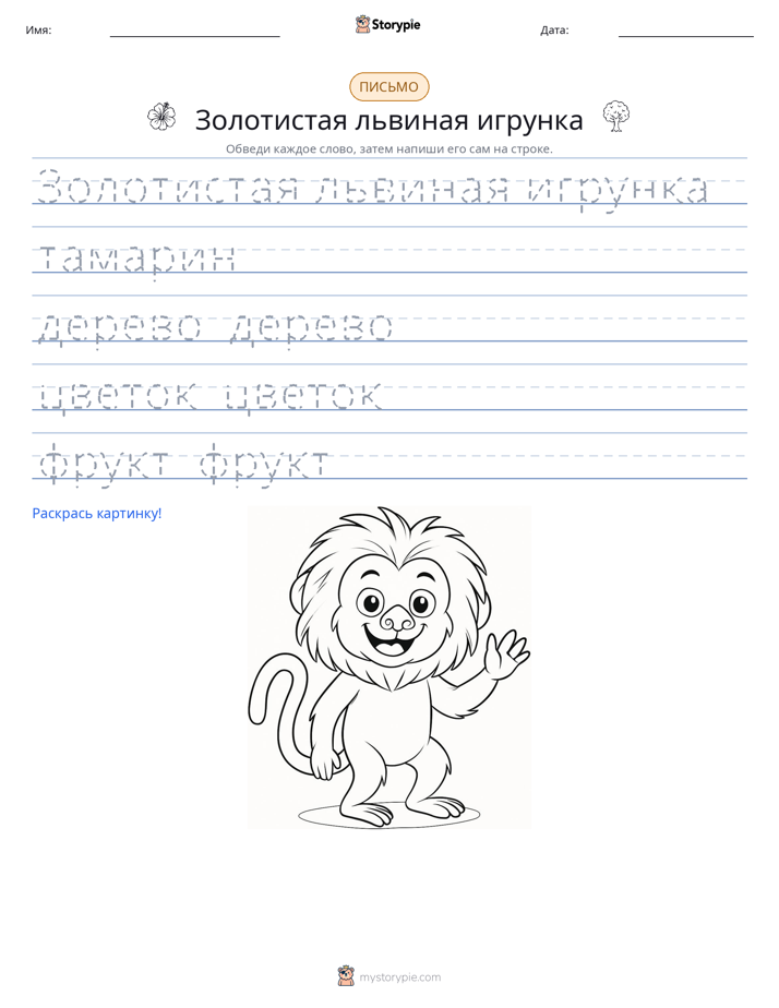 Практика письма